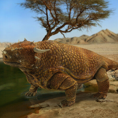 Elginia mirabilis