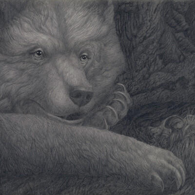 Bear's portrait