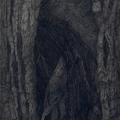 Asylum for the accursed souls