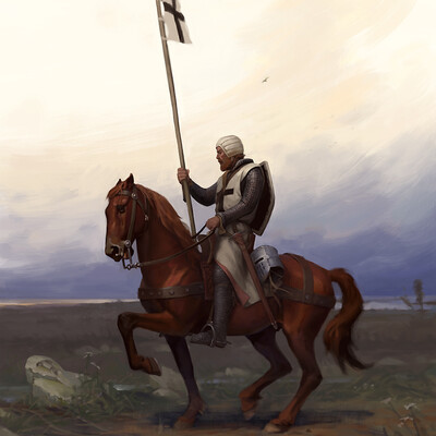 Lonely crusader