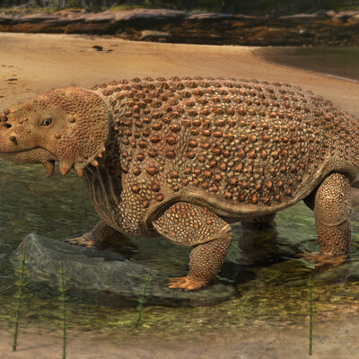 Scutosaurus karpinskii