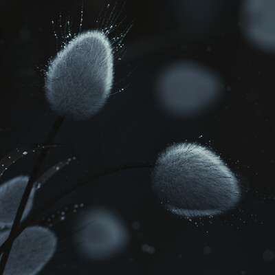 Furry flowers