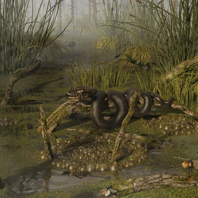 Ordinary swamp