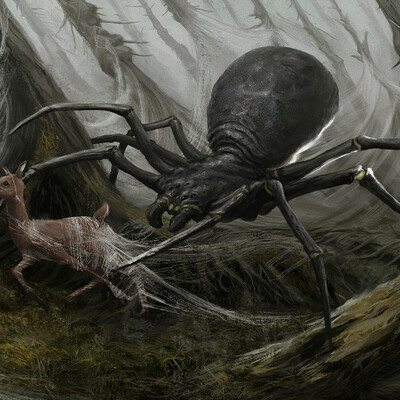 spider