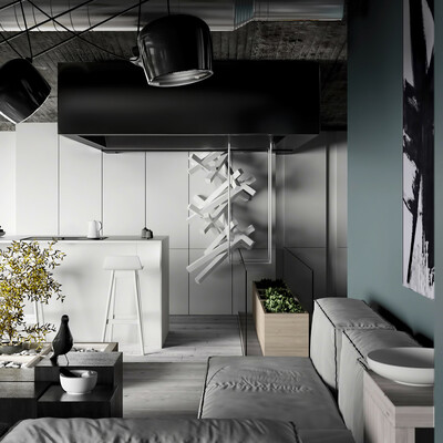 Minimalist interior