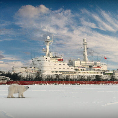 The Lord Of The Arctic