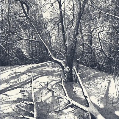 Зачарованный