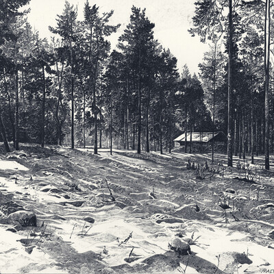Парк