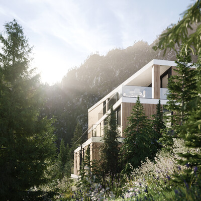 Norwegian project