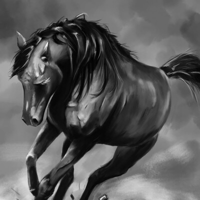 Horse