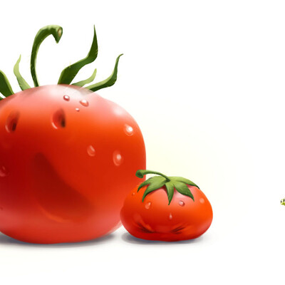 From the life of tomatoes