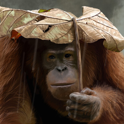 Rainy day