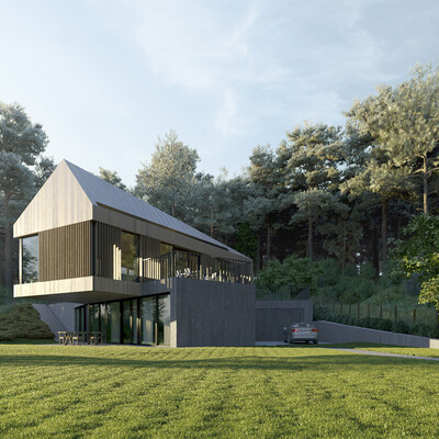 House in forest