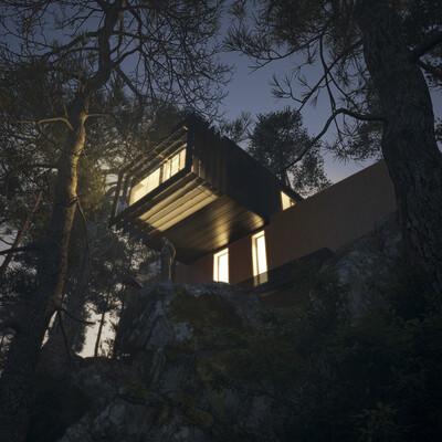 House on the hill.
