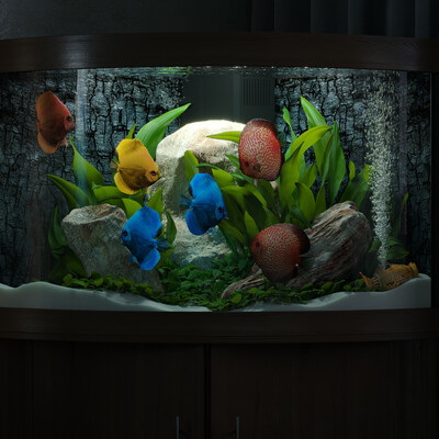 Juwel aquarium
