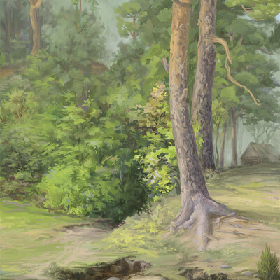 In the woods