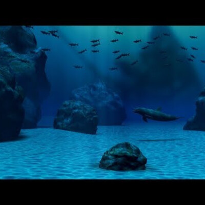 Dolphin