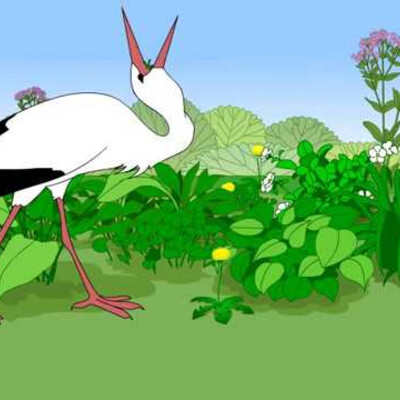 FROM THE LIFE OF BIRDS.