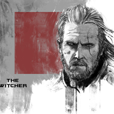 The Witcher