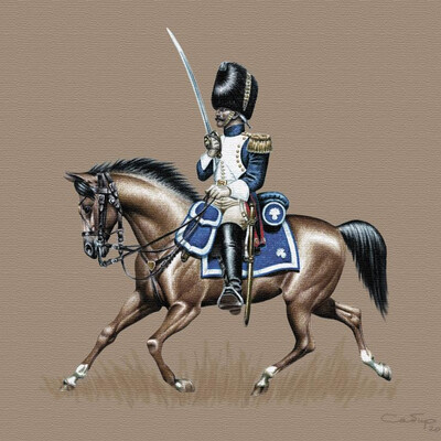FRENCH HORSE GRENADIER of 1812.