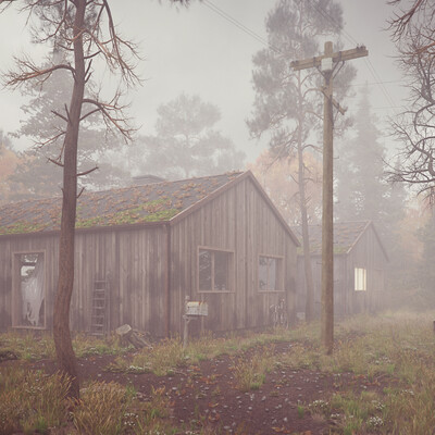 cabin in the woods