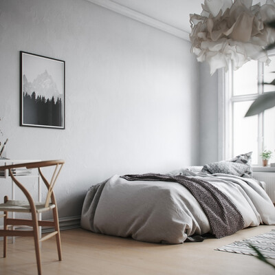 Scandinavian interior