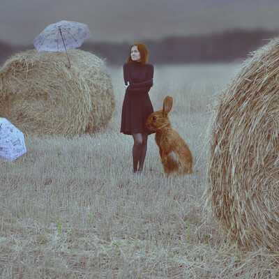 Field
