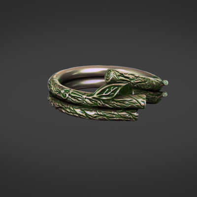 Wooden ring