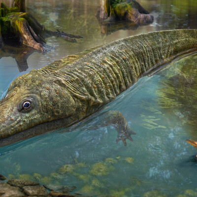 Mastodonsaurus giganteus