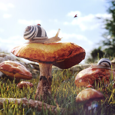 SNAIL LIFE