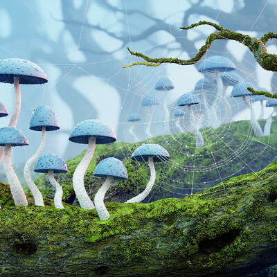mushrooms