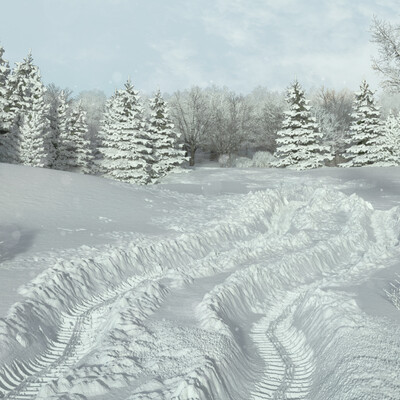  winter