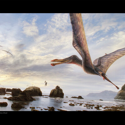 Pterosaurs