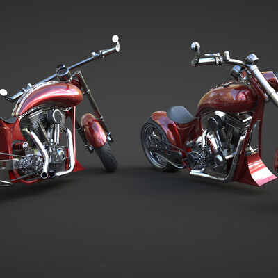 Custom bike