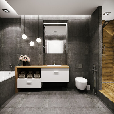 VISUALIZATION OF THE BATHROOM