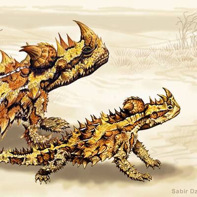 AUSTRALIAN LIZARD MOLOCH