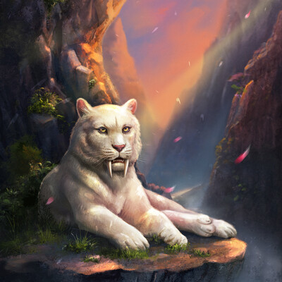 book cover illustration