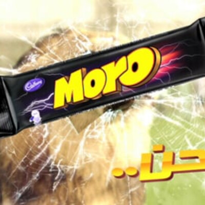 Moro lion