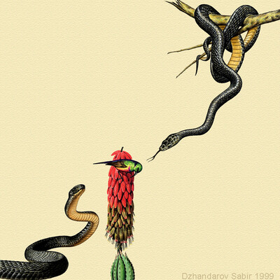 Black Mamba