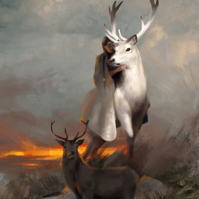Deer