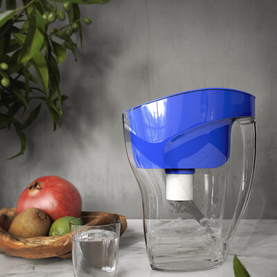 Water filter