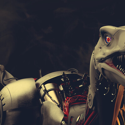 BoRAPTOR