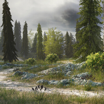 Forest
