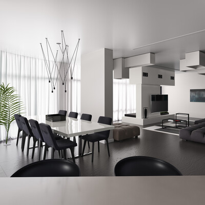Black and white apartment