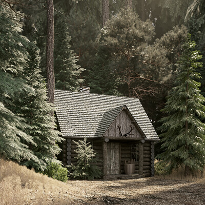 house in the woods