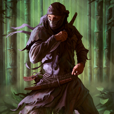 Ninja
