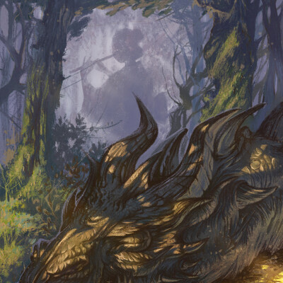 Dragon sleep