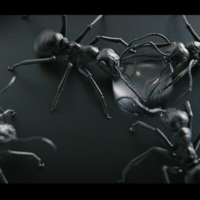 Ant
