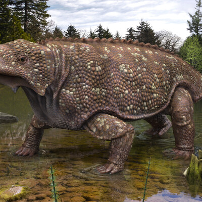Bradysaurus baini