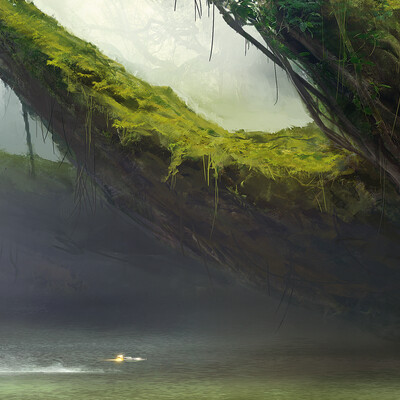 Calm in the fog